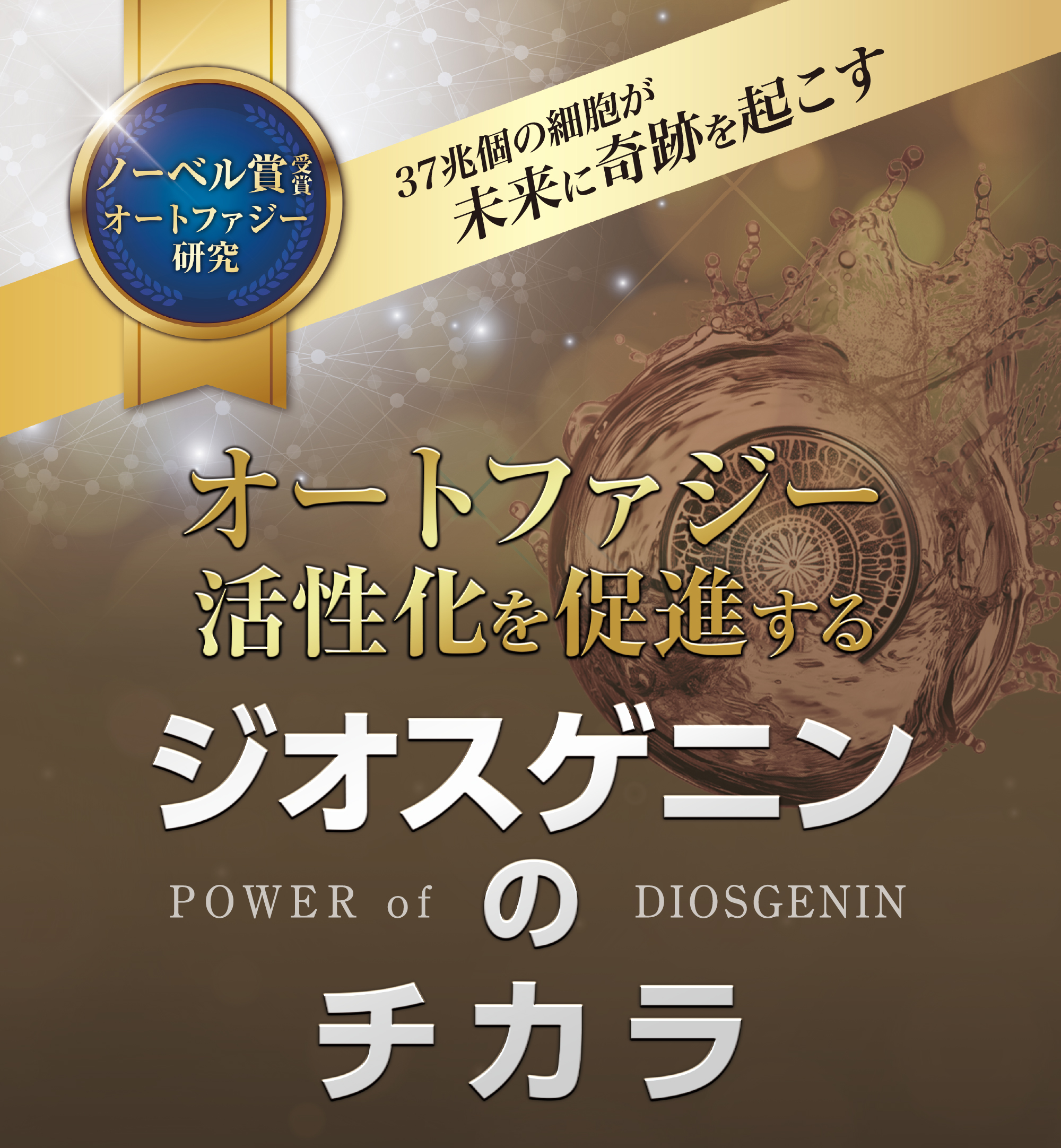 ジオスゲニン 山芋 ベネシード