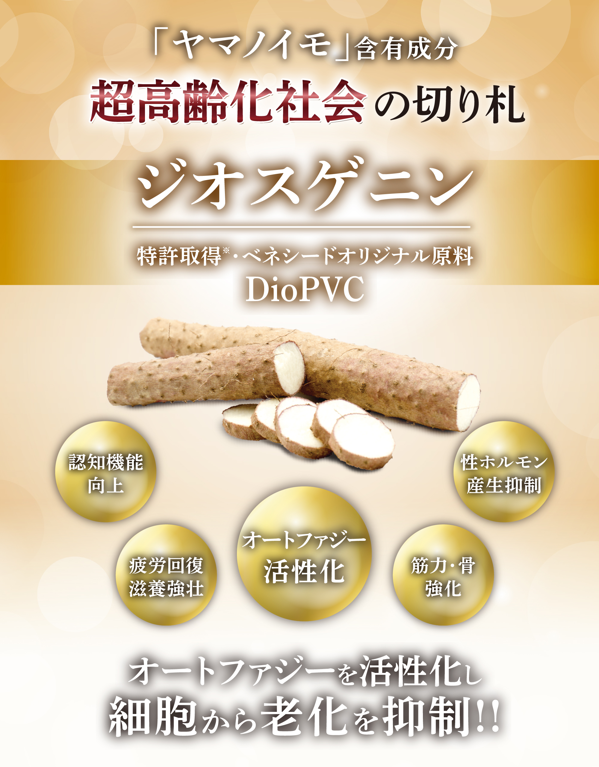 ジオスゲニン 山芋 ベネシード
