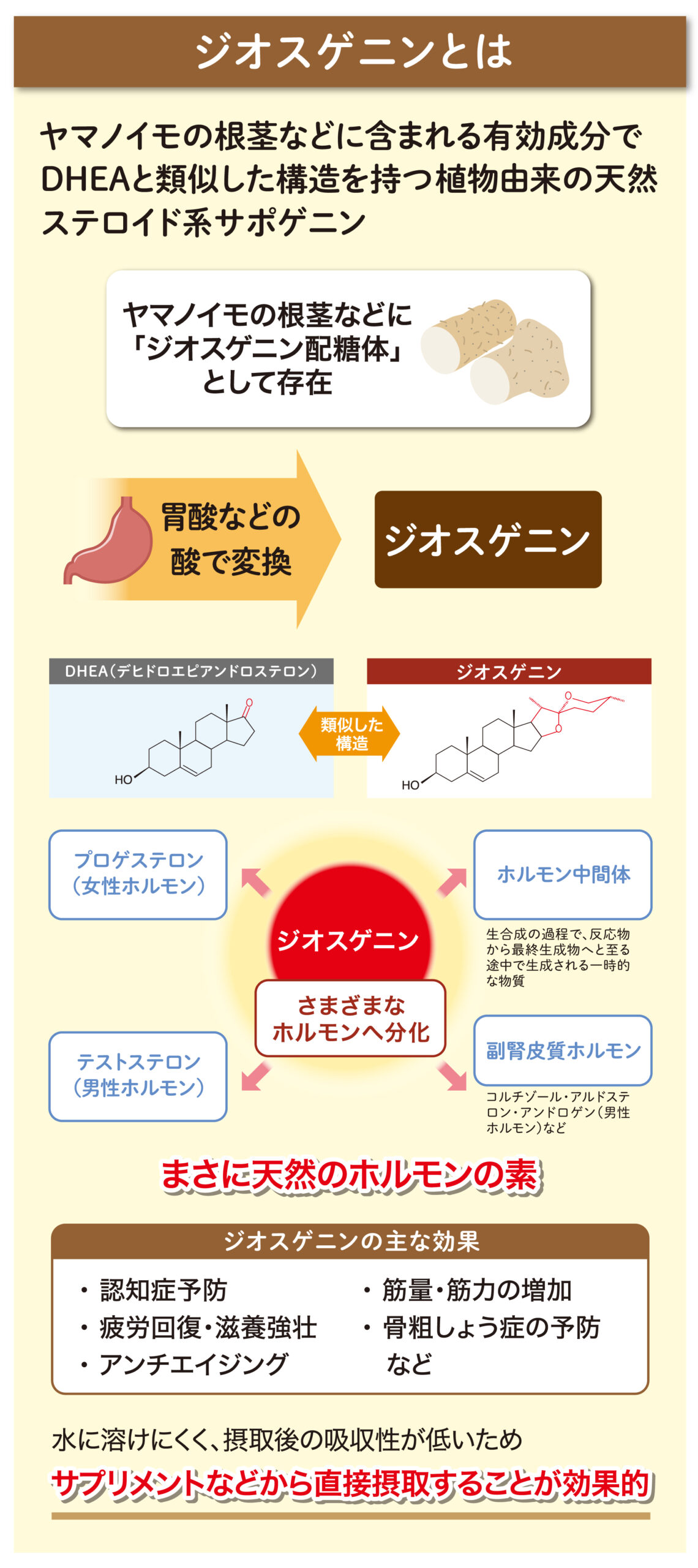 ジオスゲニン ベネシード 健康寿命