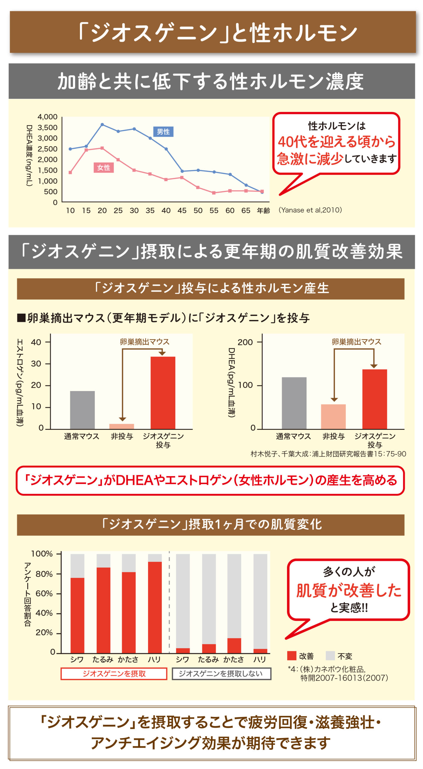 ジオスゲニン 山芋 ベネシード